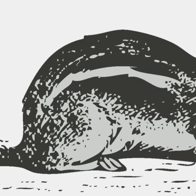 Animals   Chipmunk Thumbnail