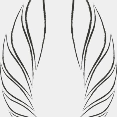 Charcoal Wing 50 Thumbnail