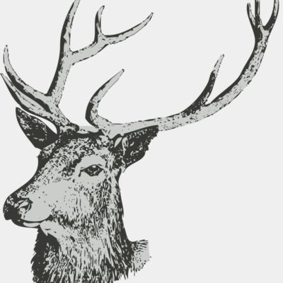 Animals   Deer 2 Thumbnail