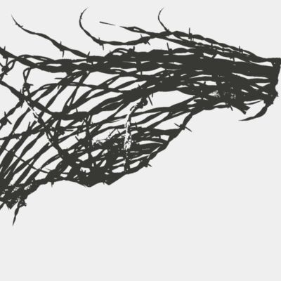 Barbed Wire 69 Thumbnail