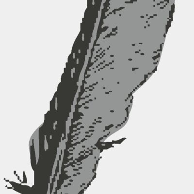 Bird   Feather Thumbnail