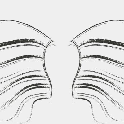 Charcoal Wing 45 Thumbnail