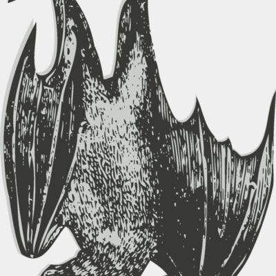 Animals   Bat Thumbnail