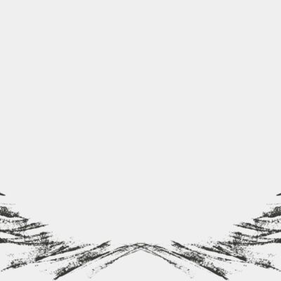 Charcoal Wing 4 Thumbnail