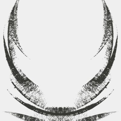 Charcoal Wing 18 Thumbnail