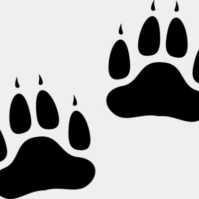 Bear   Clipart 2 Thumbnail