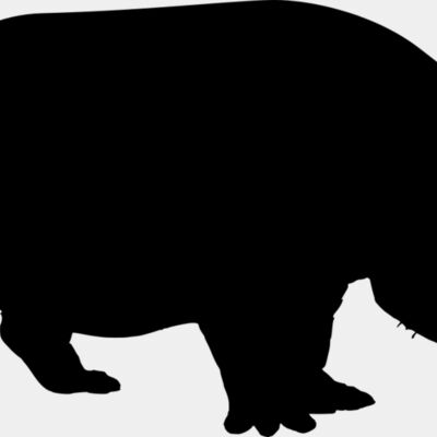 Hippopotamus   Clipart 1 Thumbnail