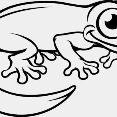 Newt   Clipart 3 Thumbnail