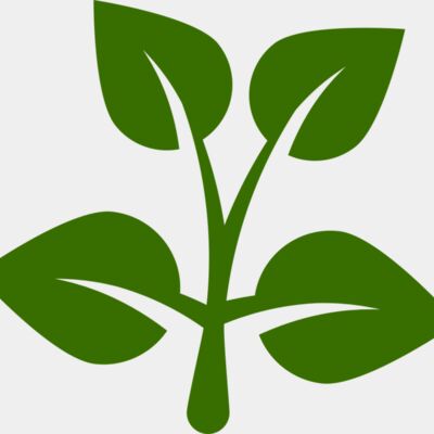 15 Leaves Thumbnail