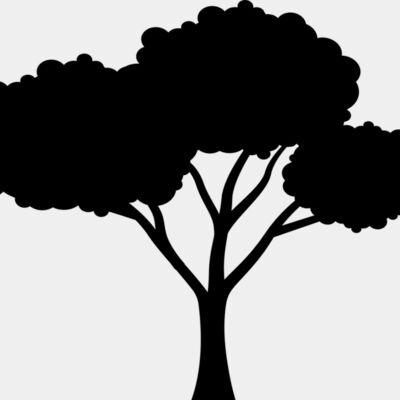 40 Tree Thumbnail