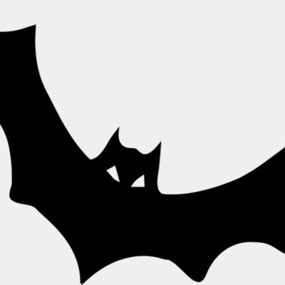 Bat Thumbnail
