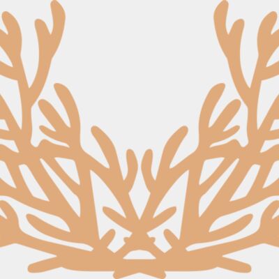 Sea Plants Thumbnail