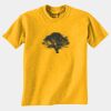 Gildan 8000B Youth DryBlend™ 50 Cotton/50 DryBlend™Poly T Shirt Thumbnail