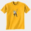 Gildan 8000B Youth DryBlend™ 50 Cotton/50 DryBlend™Poly T Shirt Thumbnail