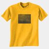 Gildan 8000B Youth DryBlend™ 50 Cotton/50 DryBlend™Poly T Shirt Thumbnail