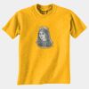 Gildan 8000B Youth DryBlend™ 50 Cotton/50 DryBlend™Poly T Shirt Thumbnail