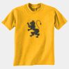 Gildan 8000B Youth DryBlend™ 50 Cotton/50 DryBlend™Poly T Shirt Thumbnail