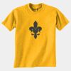Gildan 8000B Youth DryBlend™ 50 Cotton/50 DryBlend™Poly T Shirt Thumbnail