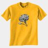 Gildan 8000B Youth DryBlend™ 50 Cotton/50 DryBlend™Poly T Shirt Thumbnail