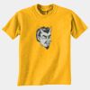 Gildan 8000B Youth DryBlend™ 50 Cotton/50 DryBlend™Poly T Shirt Thumbnail