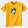 Gildan 8000B Youth DryBlend™ 50 Cotton/50 DryBlend™Poly T Shirt Thumbnail