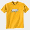 Gildan 8000B Youth DryBlend™ 50 Cotton/50 DryBlend™Poly T Shirt Thumbnail