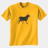 Gildan 8000B Youth DryBlend™ 50 Cotton/50 DryBlend™Poly T Shirt Thumbnail