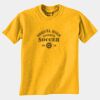 Gildan 8000B Youth DryBlend™ 50 Cotton/50 DryBlend™Poly T Shirt Thumbnail