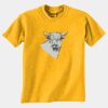 Gildan 8000B Youth DryBlend™ 50 Cotton/50 DryBlend™Poly T Shirt Thumbnail