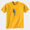 Gildan 8000B Youth DryBlend™ 50 Cotton/50 DryBlend™Poly T Shirt Thumbnail