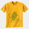 Gildan 8000B Youth DryBlend™ 50 Cotton/50 DryBlend™Poly T Shirt Thumbnail