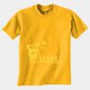 Gildan 8000B Youth DryBlend™ 50 Cotton/50 DryBlend™Poly T Shirt Thumbnail