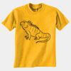 Gildan 8000B Youth DryBlend™ 50 Cotton/50 DryBlend™Poly T Shirt Thumbnail