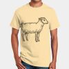 Gildan Ultra Cotton 100% Cotton T Shirt Thumbnail