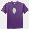 Gildan Ultra Cotton Youth 100% Cotton T Shirt Thumbnail