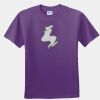 Gildan Ultra Cotton Youth 100% Cotton T Shirt Thumbnail