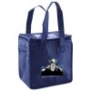 Lunch Tote  Insulated Thumbnail