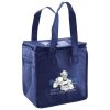 Lunch Tote  Insulated Thumbnail