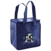 Lunch Tote  Insulated Thumbnail