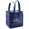 Lunch Tote  Insulated Thumbnail