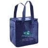 Lunch Tote  Insulated Thumbnail