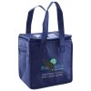 Lunch Tote  Insulated Thumbnail