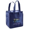 Lunch Tote  Insulated Thumbnail
