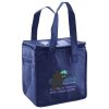 Lunch Tote  Insulated Thumbnail