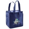 Lunch Tote  Insulated Thumbnail