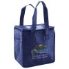 Lunch Tote  Insulated Thumbnail