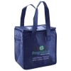 Lunch Tote  Insulated Thumbnail