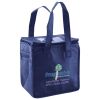 Lunch Tote  Insulated Thumbnail