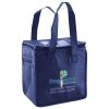 Lunch Tote  Insulated Thumbnail