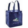Lunch Tote  Insulated Thumbnail